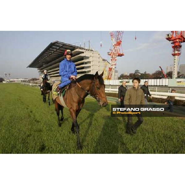 Frankie Dettori on Alkaased, Luca Cumani with Mr. Charlton and Kieren Fallon on Oujia Board after morning track works at Fuchu race course Tokyo, 25th november 2005 ph. Stefano Grasso