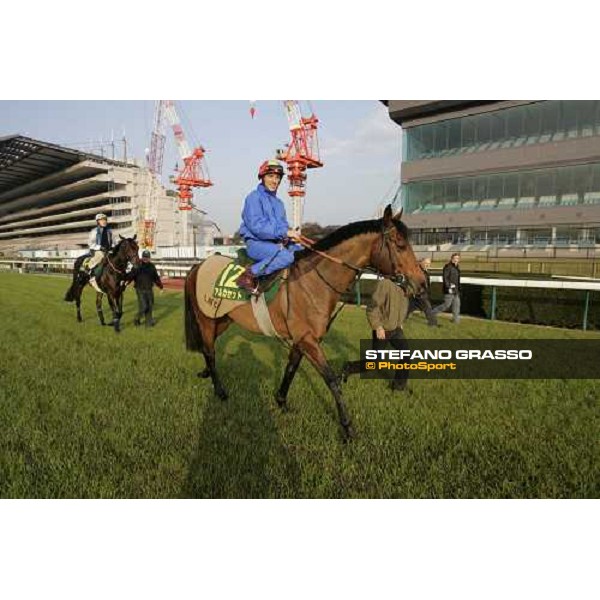 Frankie Dettori on Alkaased, Luca Cumani and Kieren Fallon on Oujia Board after morning track works at Fuchu race course Tokyo, 25th november 2005 ph. Stefano Grasso