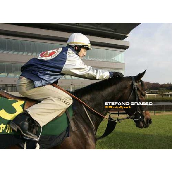 Kieren Fallon on Oujia Board after morning track works at Fuchu race course Tokyo, 25th november 2005 ph. Stefano Grasso