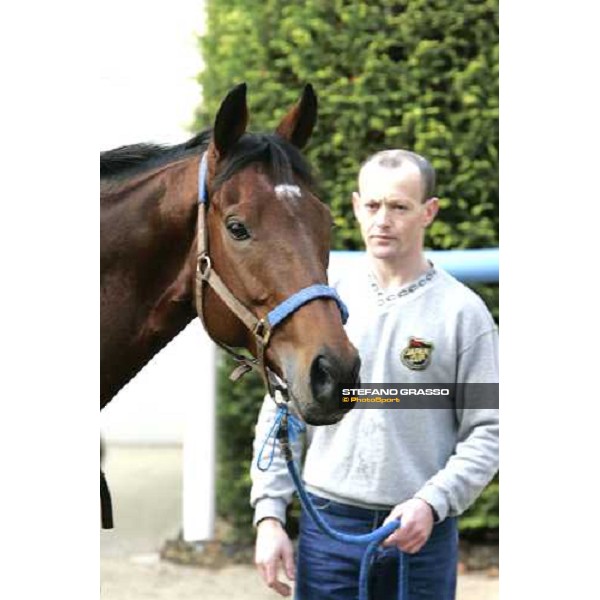 Warrsan in the quarantine stables at Fuchu race course Tokyo, 25th november 2005 ph. Stefano Grasso