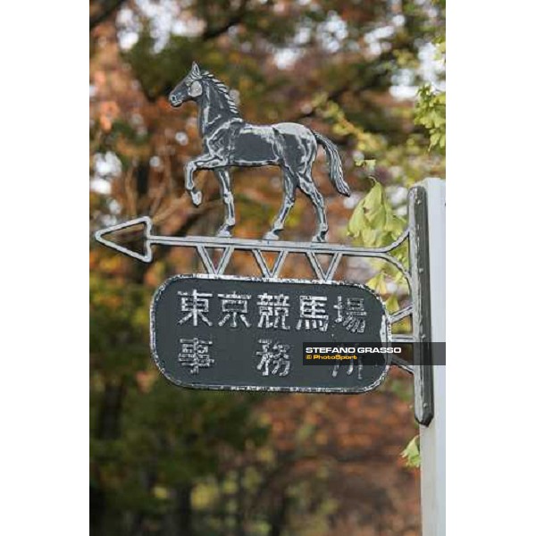 Fuchu race course Tokyo, 25th november 2005 ph. Stefano Grasso