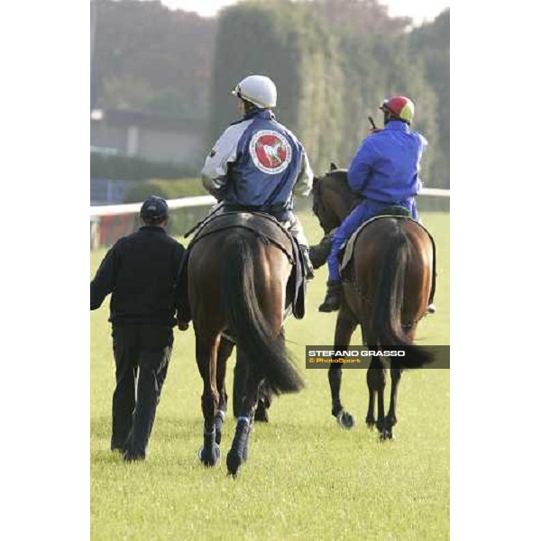 Frankie Dettori on Alkaseed and Kieren Fallon on Oujia Board coming back to the stable after morning track works at Fuchu race course Tokyo, 25th november 2005 ph. Stefano Grasso