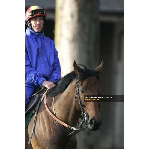 Frankie Dettori on Alkaseed walking in the parade ring of Fuchu race course Tokyo, 25th november 2005 ph. Stefano Grasso