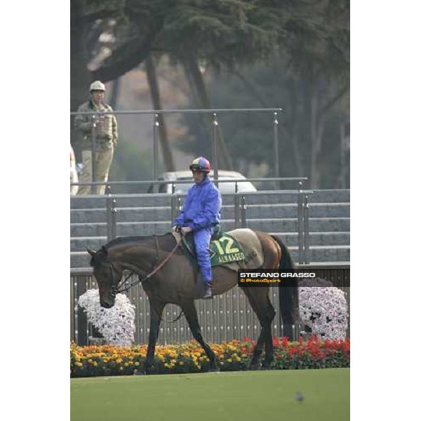 Frankie Dettori on Alkaseed walking in the parade ring of Fuchu race course Tokyo, 25th november 2005 ph. Stefano Grasso