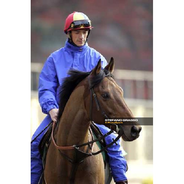 Frankie Dettori on Alkaseed walking in the parade ring of Fuchu race course Tokyo, 25th november 2005 ph. Stefano Grasso