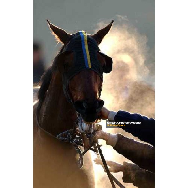 Pisa San Rossore race track march 10 2004 ph. Stefano Grasso