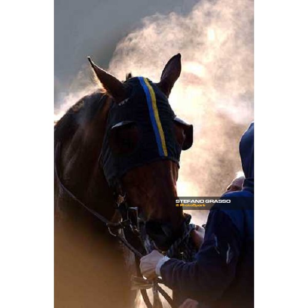Pisa San Rossore race track march 10 2004 ph. Stefano Grasso