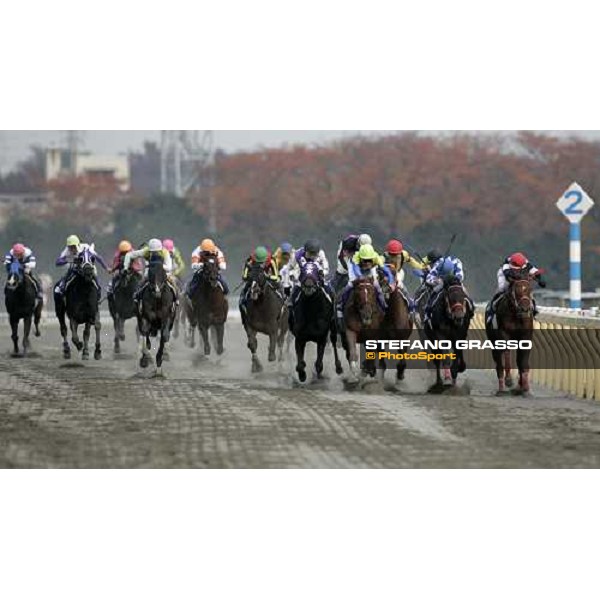 the horses of the Japan Curt at last few meters to the line. The winner Kane Hekili(3rd from right) Tokyo, 26th november 2005 ph. Stefano Grasso