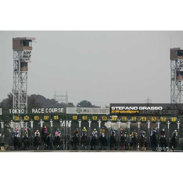 the start of The Japan Cup Dirt Tokyo, 26th november 2005 ph. Stefano Grasso