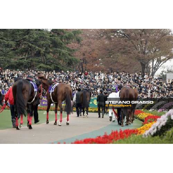 the horses of the Japan Cup Dirt parading at Fuchu race course, before the race. Tokyo, 26th november 2005 ph. Stefano Grasso