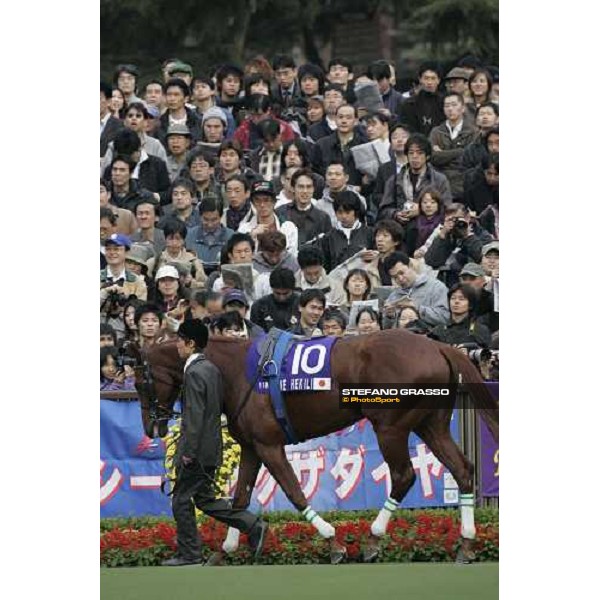 Kane Hekili winner of the Japan Cup Dirt Tokyo, 26th november 2005 ph. Stefano Grasso