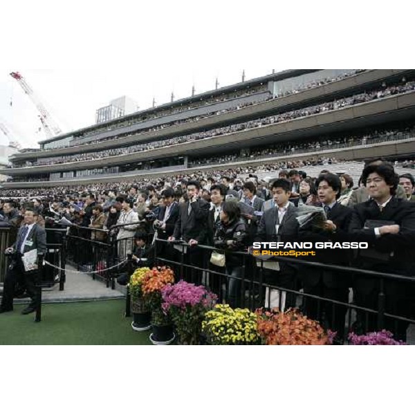 racegoers at Fuchu race course for the Japan Cup Dirt Tokyo, 26th november 2005 ph. Stefano Grasso