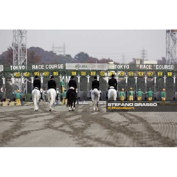 the starting gate of the Japan Cup Dirt at Fuchu race course Tokyo, 26th november 2005 ph. Stefano Grasso