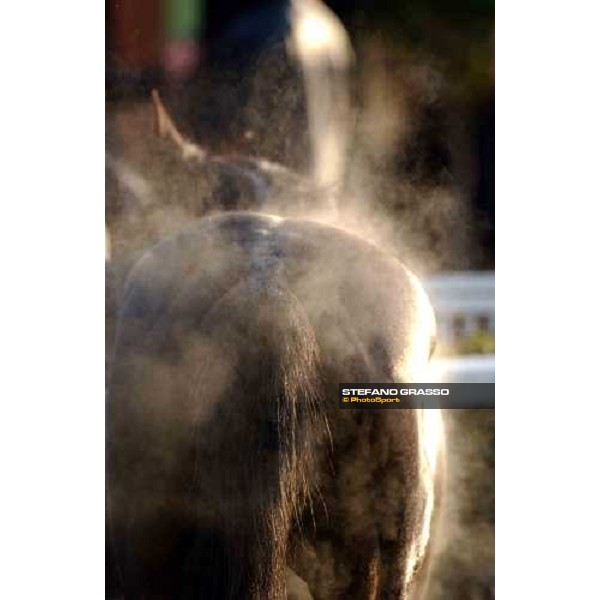 Pisa San Rossore race track march 10 2004 ph. Stefano Grasso