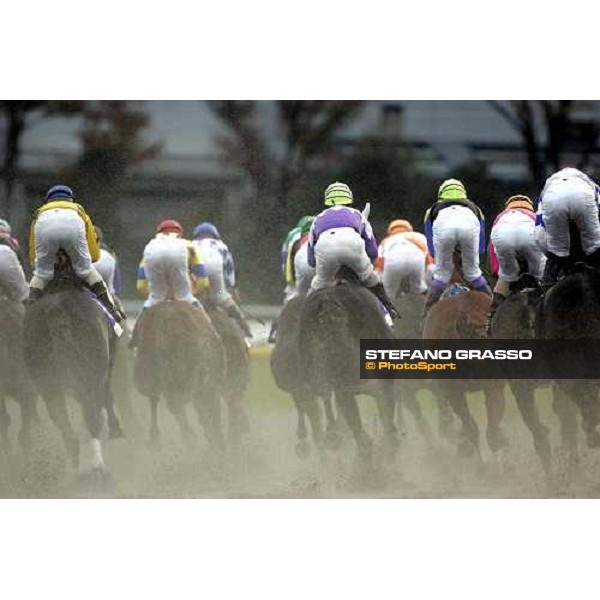 the horses pass the first bend of the Japan Cup Dirt at Fuchu race course Tokyo, 26th november 2005 ph. Stefano Grasso