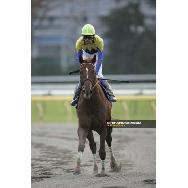 Yutaka Take comes back on Kane Hekili after winning the Japan Cup Dirt at Fuchu race course Tokyo, 26th november 2005 ph. Stefano Grasso