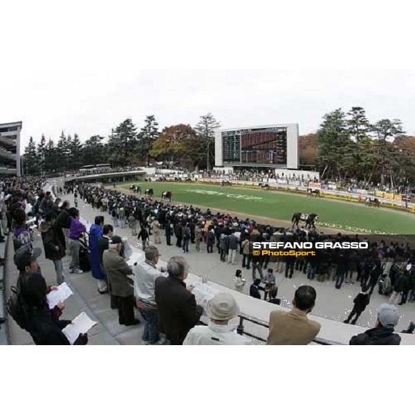 the parade ring at Fuchu race course Tokyo, 26th november 2005 ph. Stefano Grasso