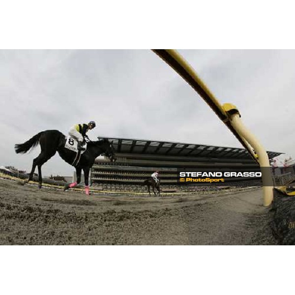 horses come back after the race at Fuchu race course Tokyo, 26th november 2005 ph. Stefano Grasso