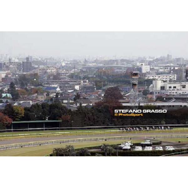 racing at Fuchu race course Tokyo, 26th november 2005 ph. Stefano Grasso