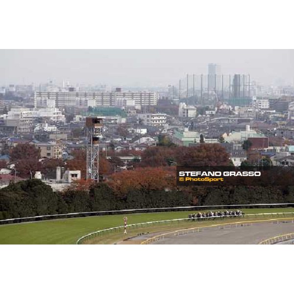 racing at Fuchu race course Tokyo, 26th november 2005 ph. Stefano Grasso