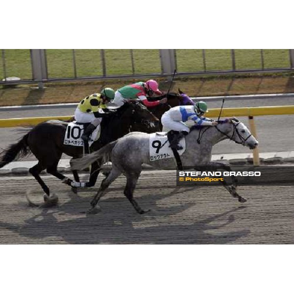 racing at Fuchu race course Tokyo, 26th november 2005 ph. Stefano Grasso