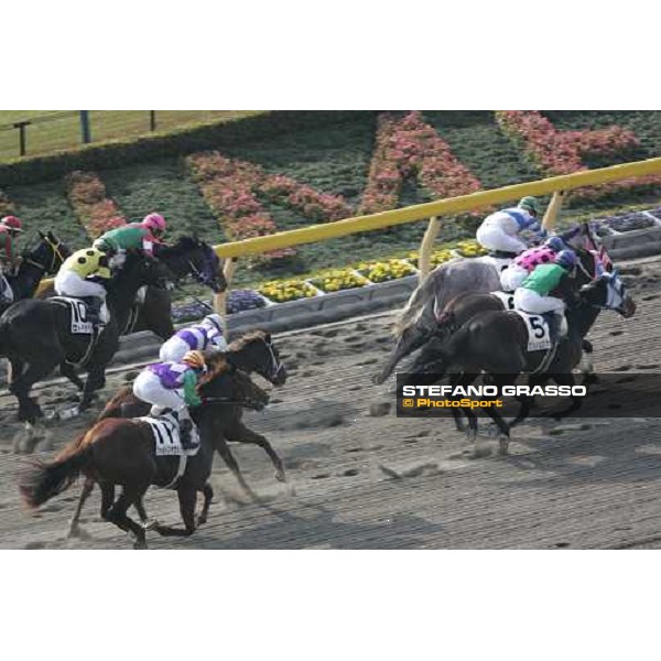 racing at Fuchu race course Tokyo, 26th november 2005 ph. Stefano Grasso