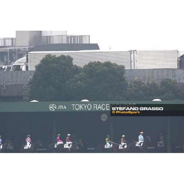 horses go the the starting gate at Fuchu race course Tokyo, 26th november 2005 ph. Stefano Grasso