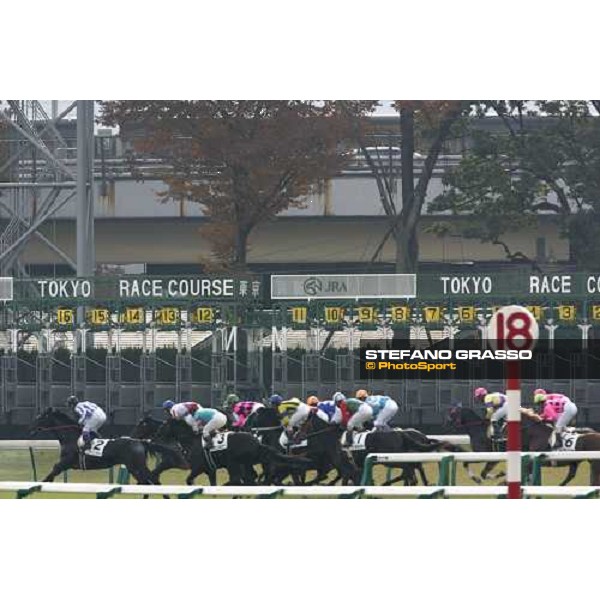 racing at Fuchu race course Tokyo, 26th november 2005 ph. Stefano Grasso