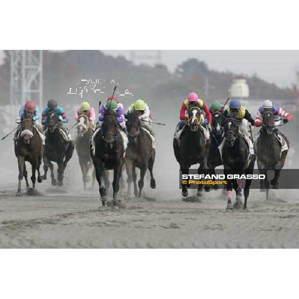 dirt race at Fuchu race course Tokyo, 26th november 2005 ph. Stefano Grasso