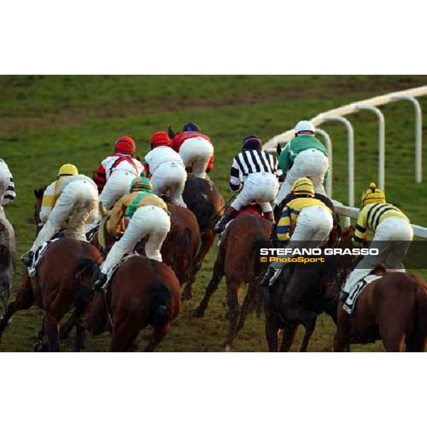 Pisa San Rossore race track march 10 2004 ph. Stefano Grasso