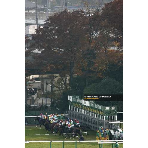 racing at Fuchu race course Tokyo, 26th november 2005 ph. Stefano Grasso