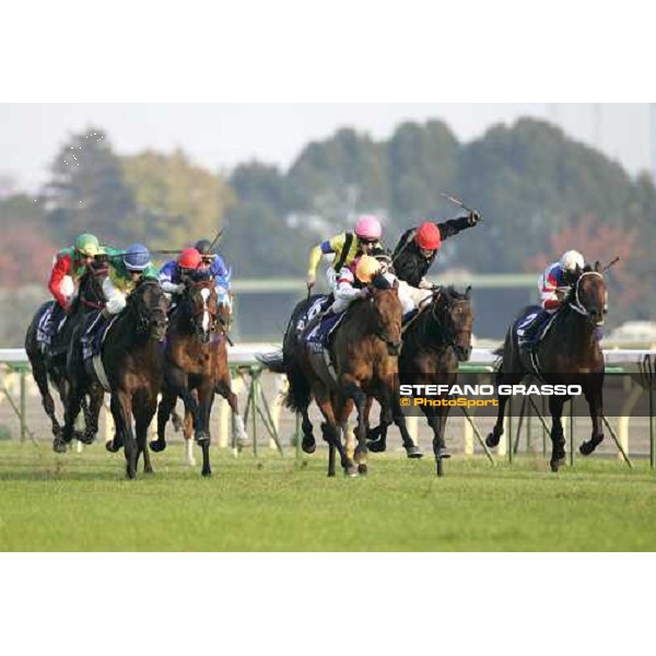at last few meters to the line of the Japan Cup Frankie Dettori on Alkaased in the middle with Christophe Lemaire on Heart\'s Cry on back, Ouja Board and Kieren Fallon, Zenno Rob Roy, Lincoln. Tokyo, 27th november 2005 ph. Stefano Grasso