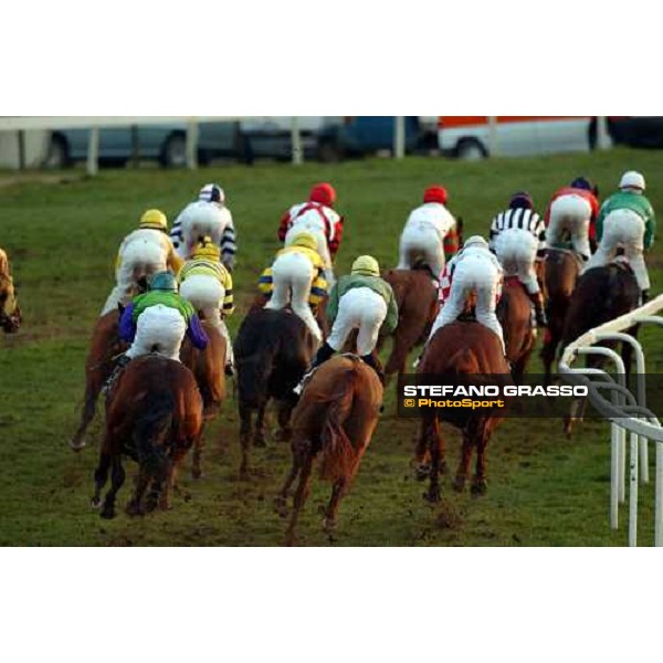 Pisa San Rossore race track march 10 2004 ph. Stefano Grasso
