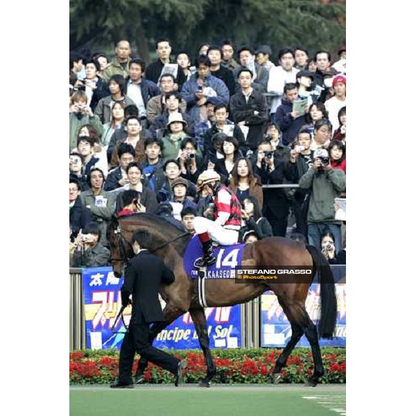 Frankie Dettori on Alkaased in the paddock before the Japan Cup 2005 Tokyo, 27th november 2005 ph. Stefano Grasso