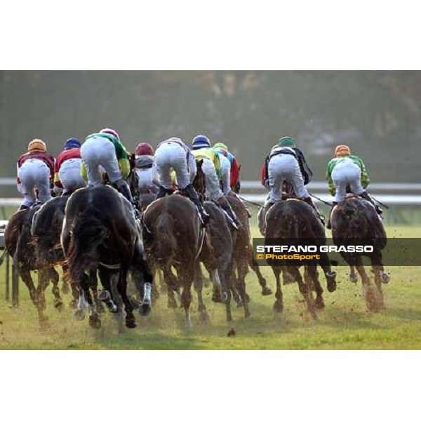 the horses of the Japan Cup pass the first bend Tokyo, 27th november 2005 ph. Stefano Grasso