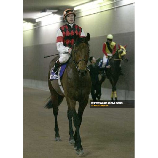 Frankie Dettori on Alkaased comes back under the tunnel of Fuchu race course waiting for the result of the Japan Cup 2005 Tokyo, 27th november 2005 ph. Stefano Grasso