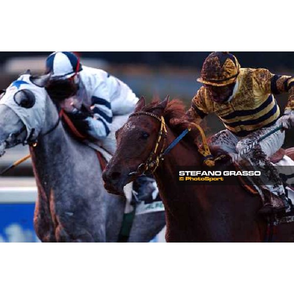 Pisa San Rossore race track march 10 2004 ph. Stefano Grasso