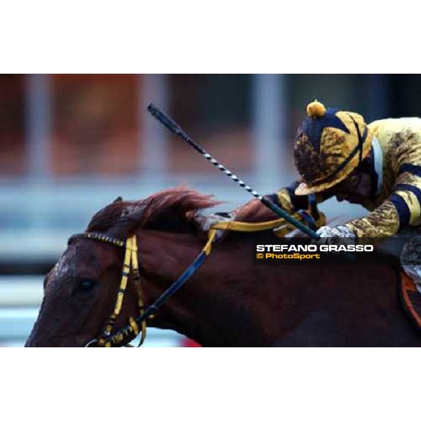 Pisa San Rossore race track march 10 2004 ph. Stefano Grasso