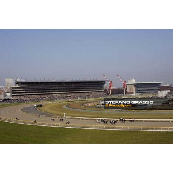 a panoramic view of Fuchu race course Tokyo, 27th november 2005 ph. Stefano Grasso