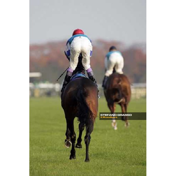 horses of the Japan Cup go to the starting gate Tokyo, 27th november 2005 ph. Stefano Grasso