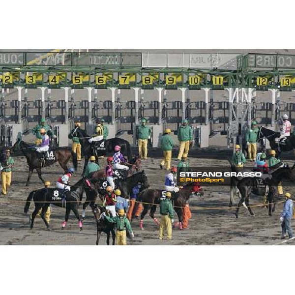 horses prepare for racing at Fuchu race course Tokyo, 27th november 2005 ph. Stefano Grasso