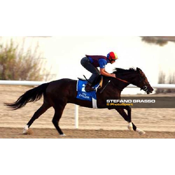 Grand Hombre - Frankie Dettori Al Quoz, wednesday, 24th march 2004 ph. Stefano Grasso