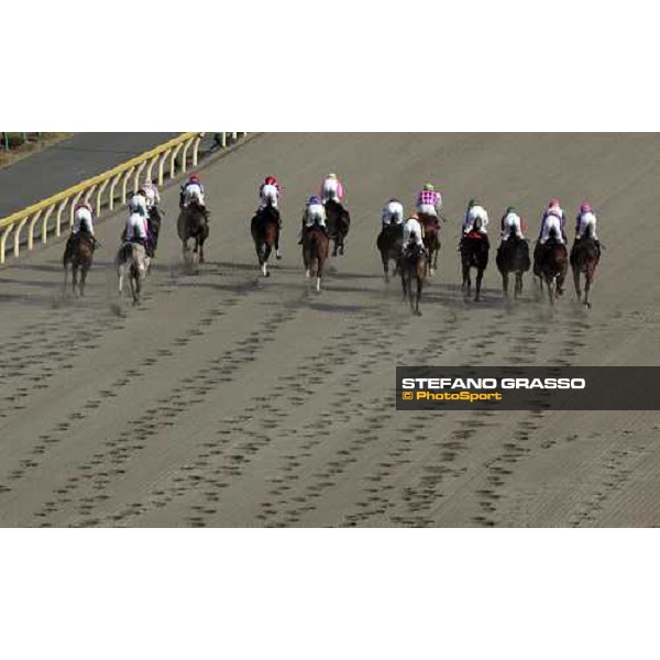 racing at Fuchu race course Tokyo, 27th november 2005 ph. Stefano Grasso