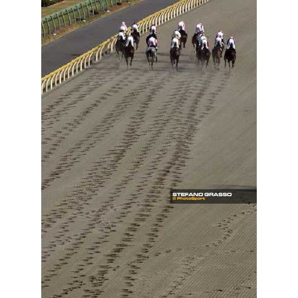 racing at Fuchu race course Tokyo, 27th november 2005 ph. Stefano Grasso