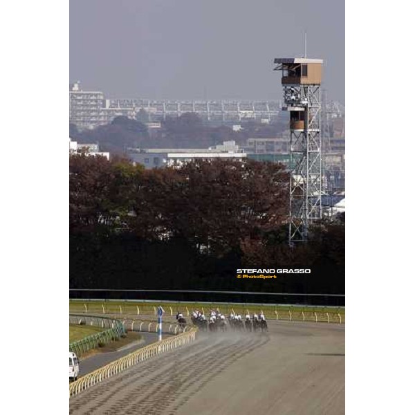 racing at Fuchu race course Tokyo, 27th november 2005 ph. Stefano Grasso