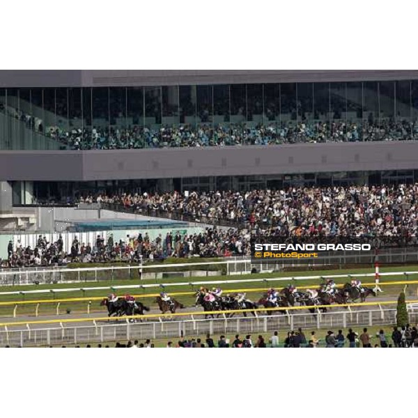 racing at Fuchu race course Tokyo, 27th november 2005 ph. Stefano Grasso