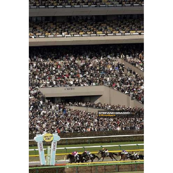 racegoers at Fuchu race course Tokyo, 27th november 2005 ph. Stefano Grasso