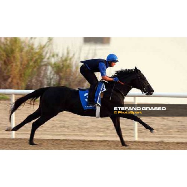 Lunar Sovereign Al Quoz, wednesday, 24th march 2004 ph. Stefano Grasso
