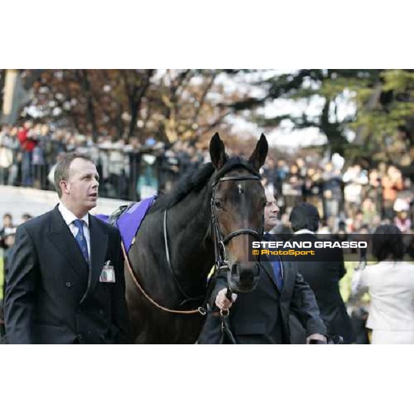 Bago in the parade ring of Fuchu race course Tokyo, 27th november 2005 ph. Stefano Grasso