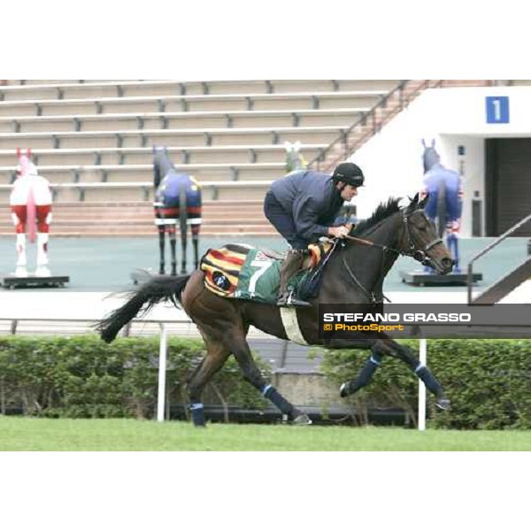 Oujia Board during morning track works at Sha Tin Hong Kong, 7th dec. 2005 ph. Stefano Grasso